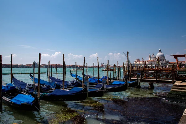 Geleneksel Grand Canal gondolları rıhtıma demirlemişti, Giudecca Adası ve arka planda Chiesa del Santissimo Redentore, Venedik Gölü, Venedik, İtalya