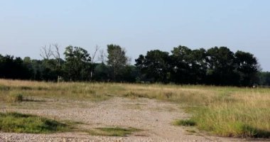 Uzak Bahçedeki Çayırlar