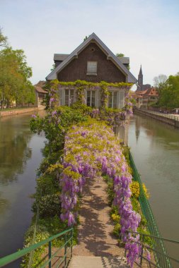 Çiçeklerle çevrili Strasbourg kanalları arasında bir ev.