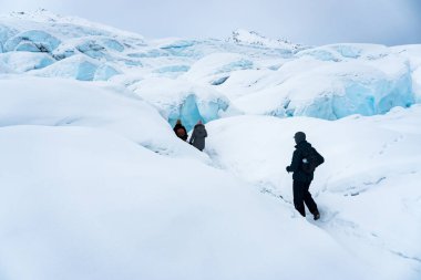 Group of three hikers trekking on the snow in Matanuska Glacier, Alaska. They are following a path into the ice caves. Extreme adventure during winter holidays. Having fun in the mountains.  clipart