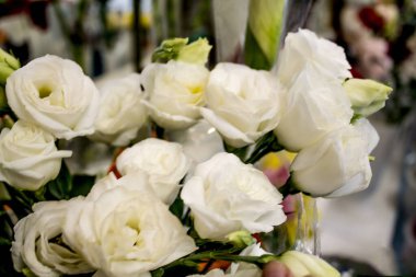 Güzel çiçekler. Geçmişi. Parlak renkler. Buket