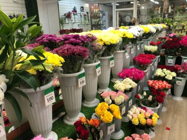 Güzel çiçekler. Geçmişi. Parlak renkler. Buket