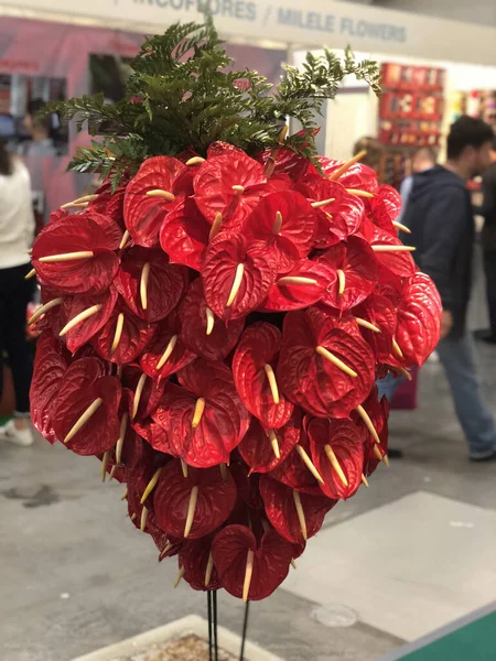 Mooie Bloemen Achtergrond Heldere Kleuren Boeket — Stockfoto