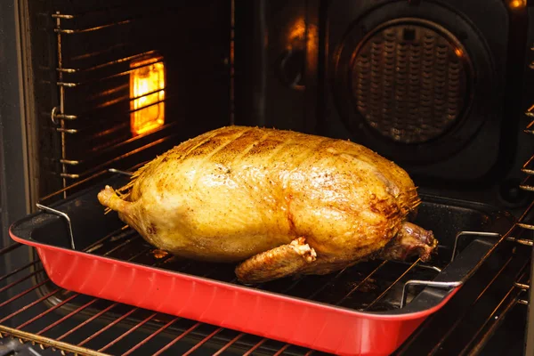 Pato asado al horno en una sartén profunda con rejilla en el horno — Foto de Stock