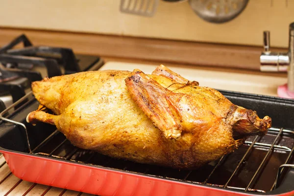 Bebek panggang dalam panci yang dalam dengan rak panggangan, menyiapkan makanan untuk makan malam perayaan — Stok Foto