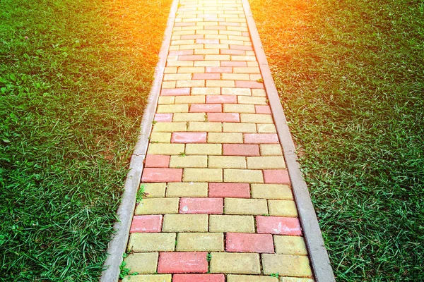 Czerwono-żółta ścieżka ceglana na środku zielonego trawnika, ostrość selektywna — Zdjęcie stockowe
