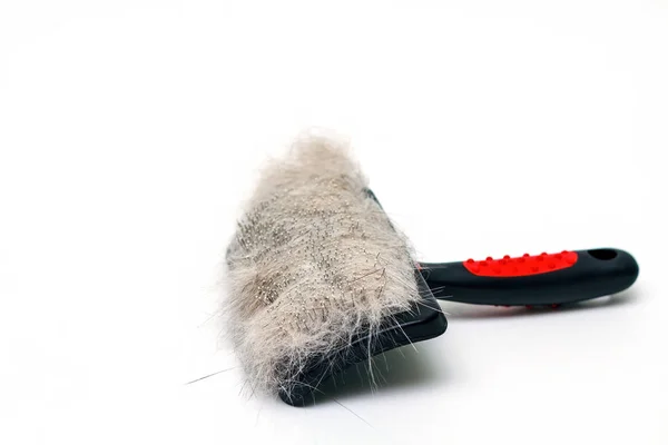 Slicker brush with animal wool on white background. Close-up, selective focus. — Stock Photo, Image
