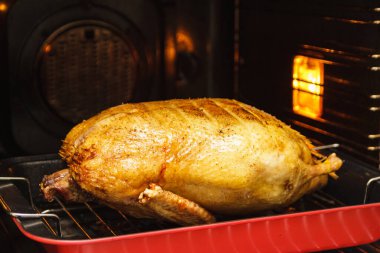 Derin bir tavada Noel ördeği ızgara rafıyla, kutlama yemeği için hazır yemek.