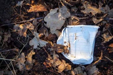 Kuru kahverengi yaprakların arasında yerde ezilmiş beyaz plastik bardak. Çevre kirliliğini hesaba katın. Üst görünüm
