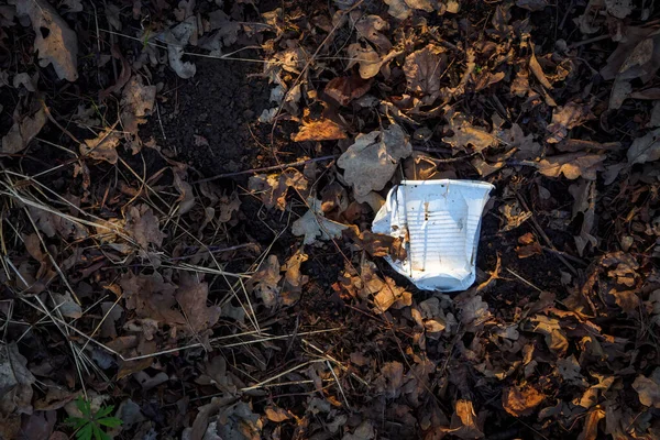 stock image White broken plastic cup on ground between dry brown leaves. Concept environmental pollution. Copy space, top view