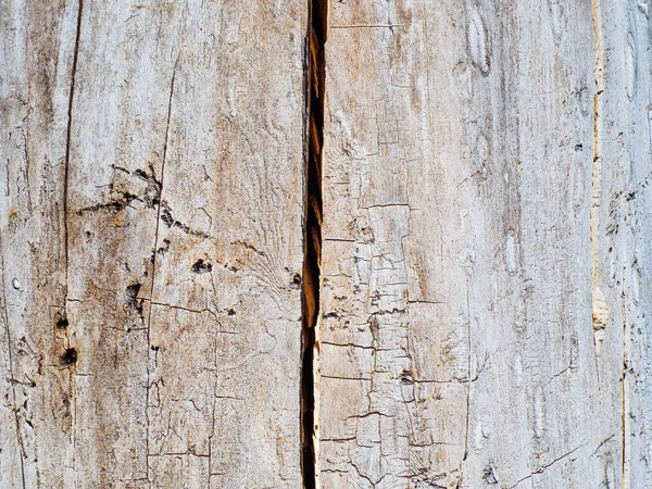 Tło Pnia Drzewa Bez Kory Pęknięciem Naturalny Brązowy Teksturowane Tło — Zdjęcie stockowe