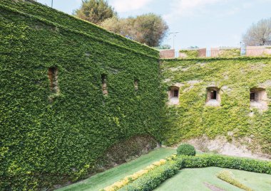 Yeşil bitkilerle dolu kale duvarı