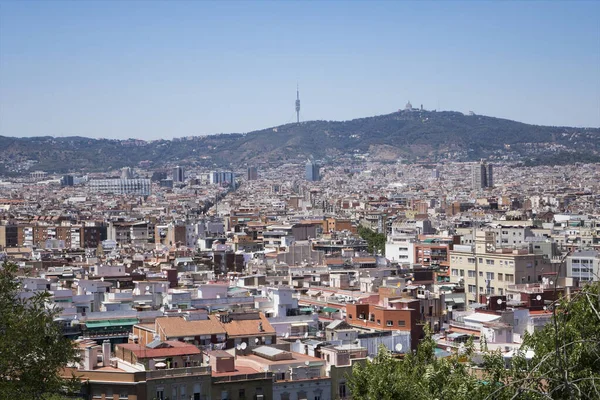 Montjuic tepesinden dağlarla çevrili Barcelona 'nın çatılarının manzarası