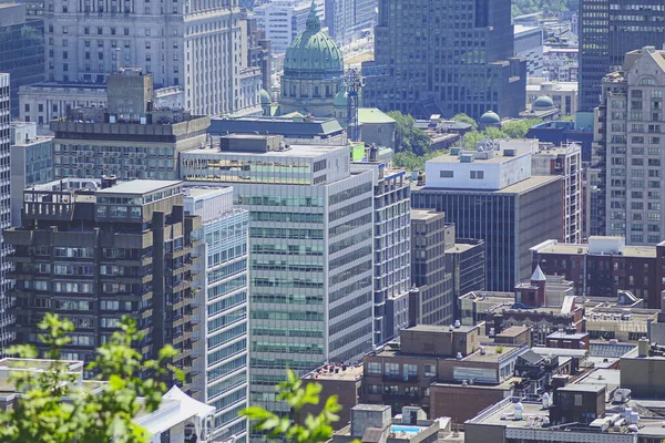Montreal manzaralı Mount Royal yaz günü.