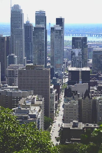 Montreal manzaralı Mount Royal yaz günü.