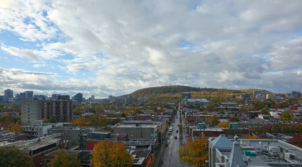 Mont Royal 'in 10. katından geniş görüş alanı, plato alanı, Ville Marie bölgesi ve Down-Town. Royal Dağı 'nın kuzeydoğu yakası. Rachel caddesinin dağdaki manzarası.