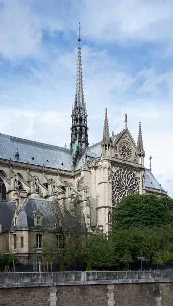 在一个美丽的夏日 巴黎圣母院 教堂山顶上的侧拍 — 图库照片