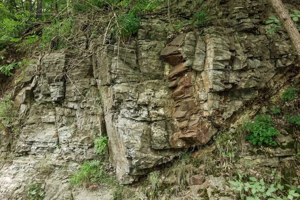 Foto Ravvicinata Alcune Rocce Nel Parco Mount Royal — Foto Stock