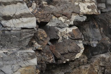 Mount Royal parkındaki kayaların yakın çekim görüntüleri.