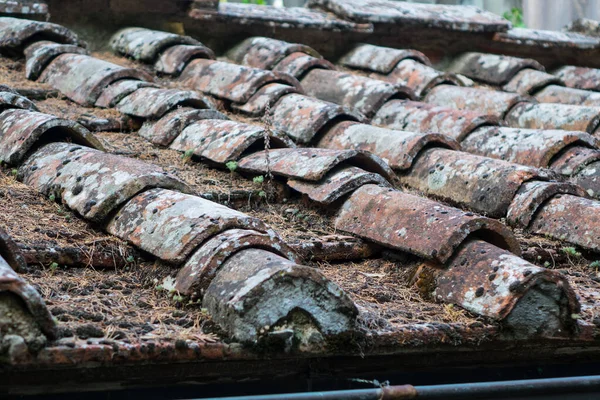 Very old and dirty roof tiles with lot of moss