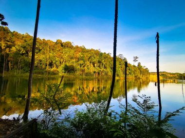Bukit Sapu Tangan yürüyüş parkurundaki gölete yansıyan ağaç çizgisi Shah Alam Selangor Malezya
