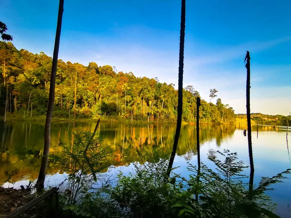 Treeline Reflexão Sobre Lagoa Bukit Sapu Tangan Trilha Caminhadas Shah — Fotografia de Stock