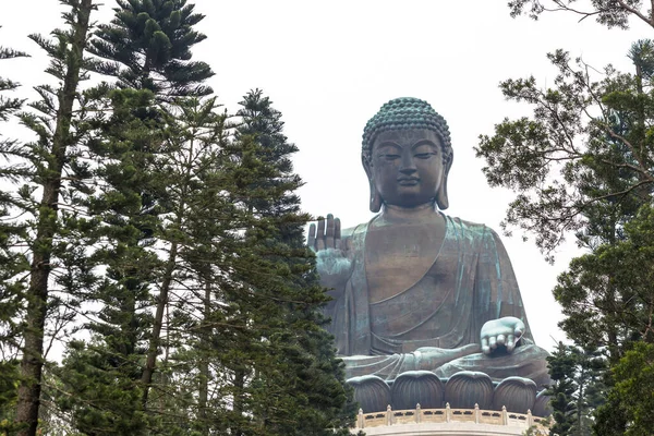 Grande Statua Bronzo Buddha Shakyamuni Con Spazio Sfondo Bianco Negativo — Foto Stock