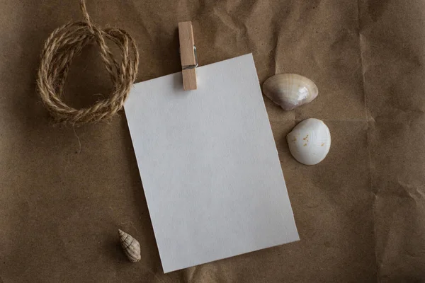 牛皮纸白纸 带有壳和绳 — 图库照片