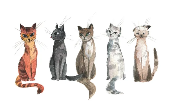 Gatos Desenhos Animados Diferentes Engraçados Gatos Aquarela Fundo Branco Gatos — Fotografia de Stock