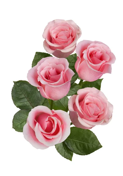 Beyaz arka planda bir buket pembe gül. İzole edilmiş