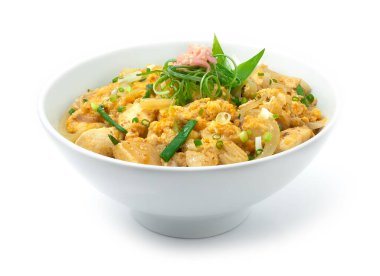 Yumurtalı Oyakodon Tavuğu, üzerine taze soğan, pilav tarifi ve zencefil turşusu ve soğan salamura Japon yemeği geleneksel pirinç kasesi yan görünümü.