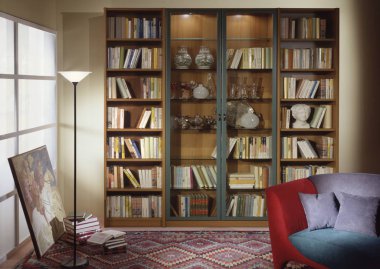 oturma odası, Kütüphane ortamı