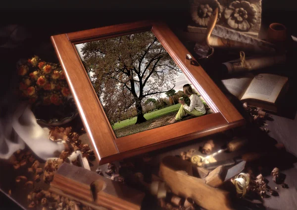 Hintergrund Mit Holzrahmen Und Spänen — Stockfoto