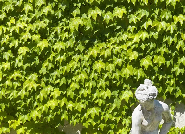 Textura Hera Verde Com Estátua — Fotografia de Stock