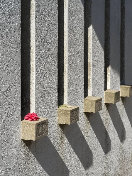 Pared Hormigón Con Flor Alféizar Ventana — Foto de Stock