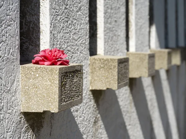 Betonová Stěna Květinami Parapetu — Stock fotografie