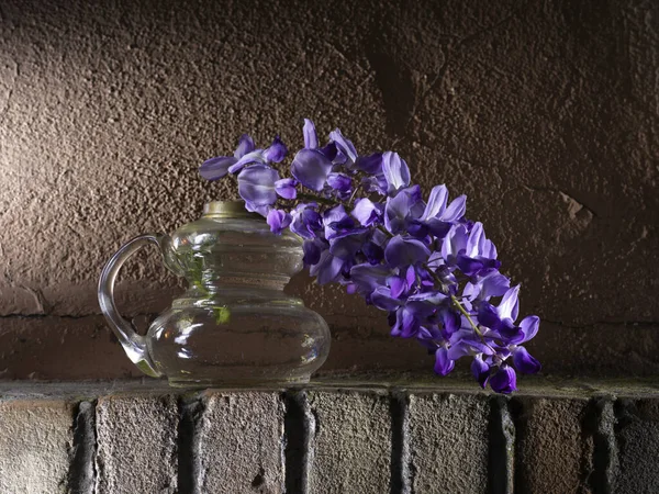 Jarrón Con Flor Glicina Pared Piedra — Foto de Stock