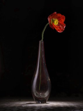Siyah arka planda kırmızı çiçekli vazo
