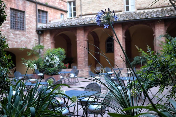 Flores Con Fondo Antiguo Claustro — Foto de Stock