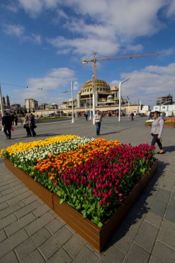 İstanbul, Taksim / Türkiye - 7 Nisan 2018: Güzel renkli laleler, Taksim Meydanı, Beyoğlu, İstanbul 'da şehir peyzajı. İstanbul Nisan 'daki lale Festivali sırasında lalelerle kaplı.