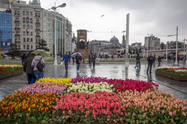 İstanbul, Taksim / Türkiye - 7 Nisan 2018: Güzel renkli laleler, Taksim Meydanı, Beyoğlu, İstanbul 'da şehir peyzajı. İstanbul Nisan 'daki lale Festivali sırasında lalelerle kaplı.
