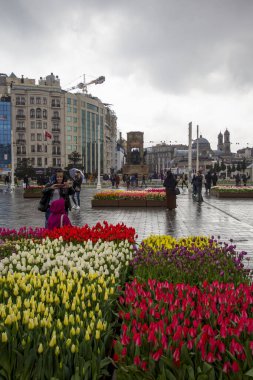 İstanbul, Taksim / Türkiye - 7 Nisan 2018: Güzel renkli laleler, Taksim Meydanı, Beyoğlu, İstanbul 'da şehir peyzajı. İstanbul Nisan 'daki lale Festivali sırasında lalelerle kaplı.