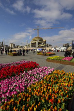 İstanbul, Taksim / Türkiye - 7 Nisan 2018: Güzel renkli laleler, Taksim Meydanı, Beyoğlu, İstanbul 'da şehir peyzajı. İstanbul Nisan 'daki lale Festivali sırasında lalelerle kaplı.