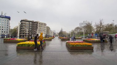 İstanbul, Taksim / Türkiye - 7 Nisan 2018: Güzel renkli laleler, Taksim Meydanı, Beyoğlu, İstanbul 'da şehir peyzajı. İstanbul Nisan 'daki lale Festivali sırasında lalelerle kaplı.