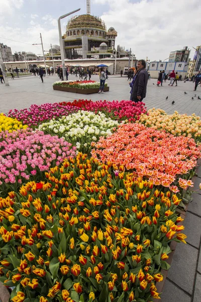 Istanbul Taksim Türkei April 2018 Schöne Bunte Tulpenbeete Stadtlandschaften Auf — Stockfoto