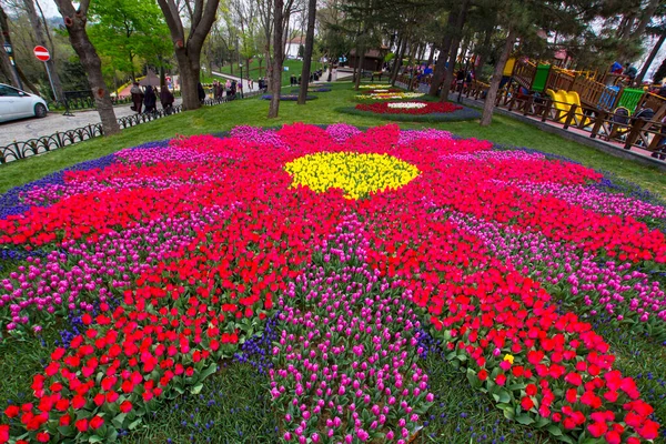Vista Hermosa Estambul Con Tulipanes Coloridos Durante Festival Tulipanes Primavera — Foto de Stock