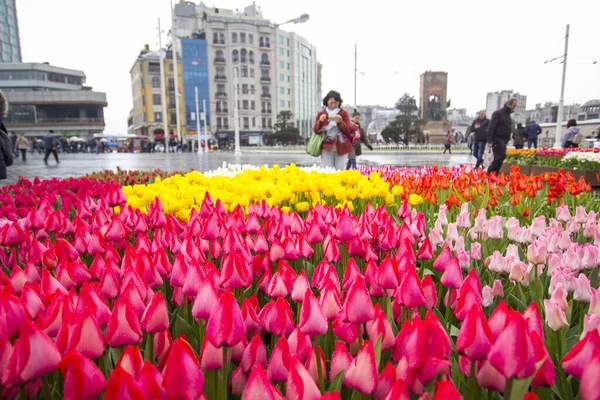 Estambul Taksim Turquía Abril 2018 Hermosos Tulipanes Con Flores Paisajismo — Foto de Stock