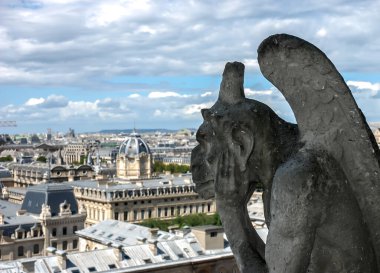 PARIS, FRANCE- 18 AĞUSTOS 2014; Notre Dame Katedrali 'nden tüm Paris' i görebilirsiniz 