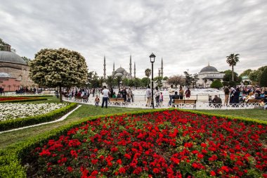 İstanbul, Taksim / Türkiye - 7 Nisan 2018: Güzel renkli laleler, Taksim Meydanı, Beyoğlu, İstanbul 'da şehir peyzajı. İstanbul Nisan 'daki lale Festivali sırasında lalelerle kaplı.