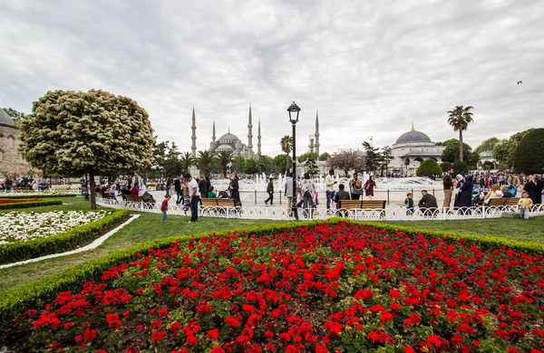 İstanbul, Taksim / Türkiye - 7 Nisan 2018: Güzel renkli laleler, Taksim Meydanı, Beyoğlu, İstanbul 'da şehir peyzajı. İstanbul Nisan 'daki lale Festivali sırasında lalelerle kaplı.